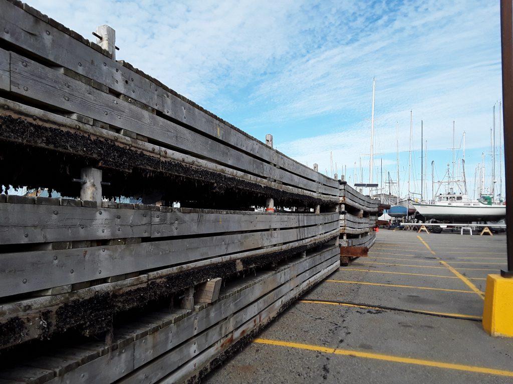 Les vieux pontons occupent une partie de la marina. (Photo journallesoir.ca, Pierre Michaud)