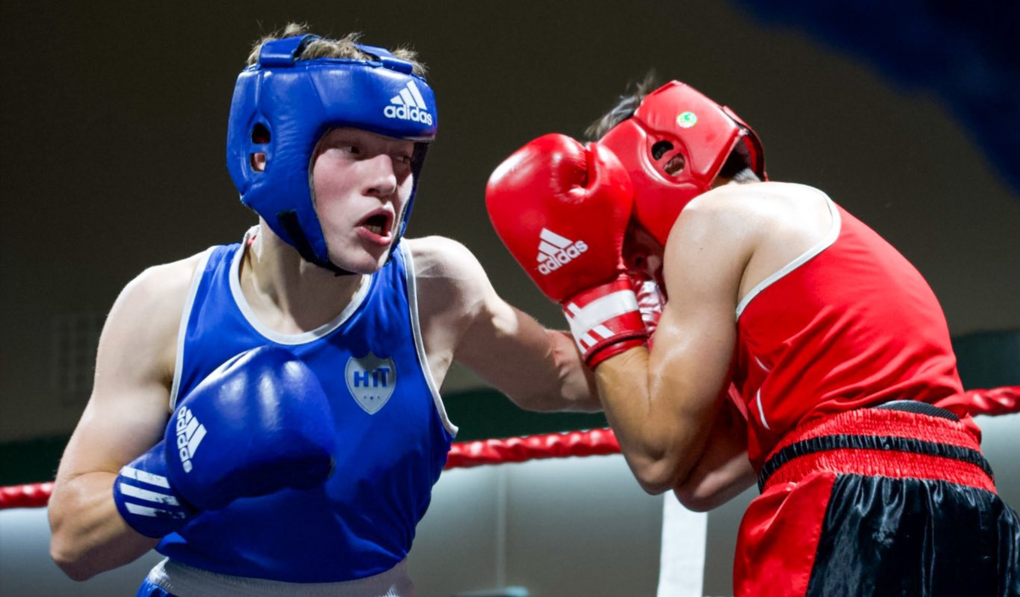 Boxe Rimouski frappe fort avec 10 gains à Saint-Anaclet | Journal Le Soir
